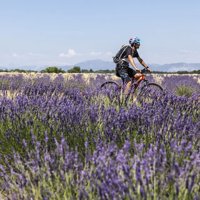 Circuit VTT 38 Provence Verdon