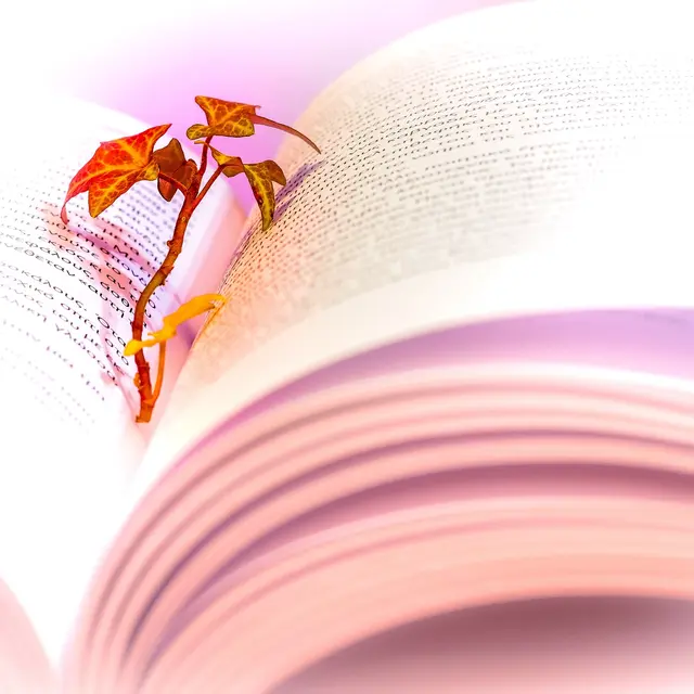 Je lis pour toi de la poésie_Laragne-Montéglin