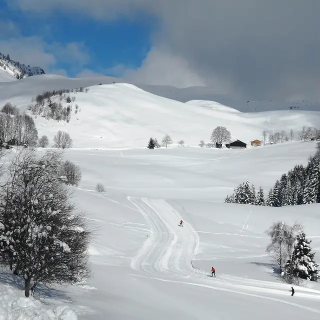 Skieurs Plaine Joux, Les Brasses