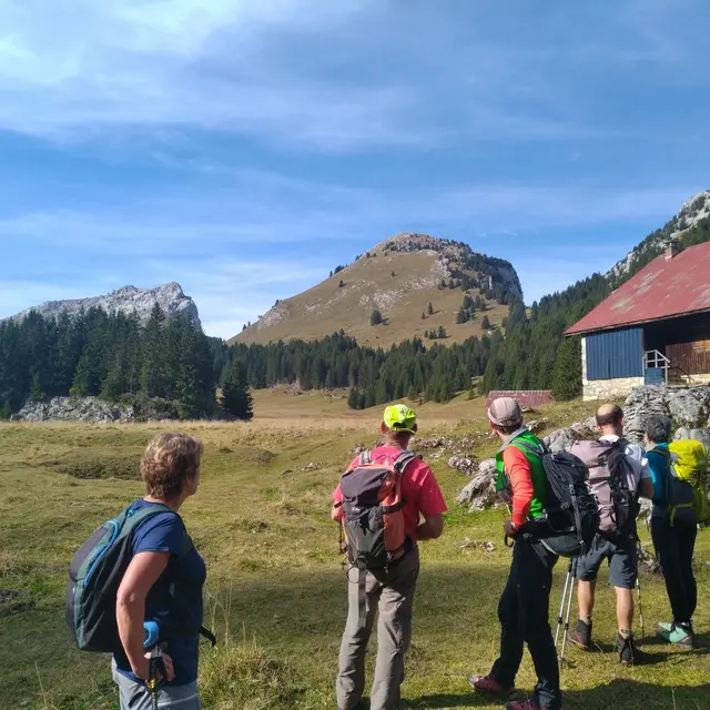 Randonnée pédestre