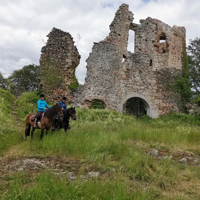 Randonnée équestre à Ferrières-sur-Sichon