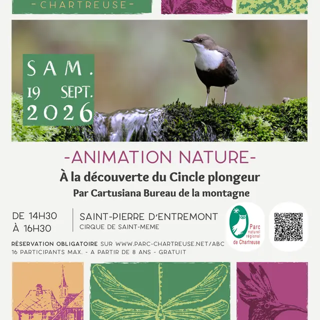 affiche animation