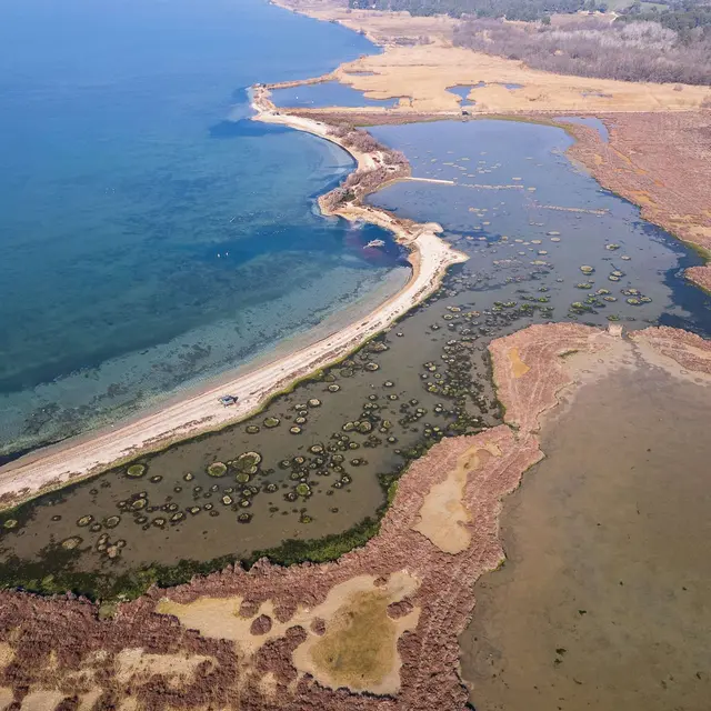 Visite de la Petite Camargue_Saint-Chamas