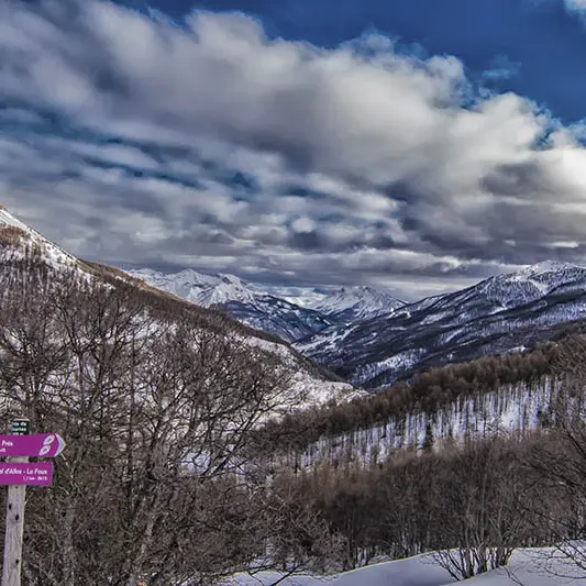 Circuit raquettes les grands prés