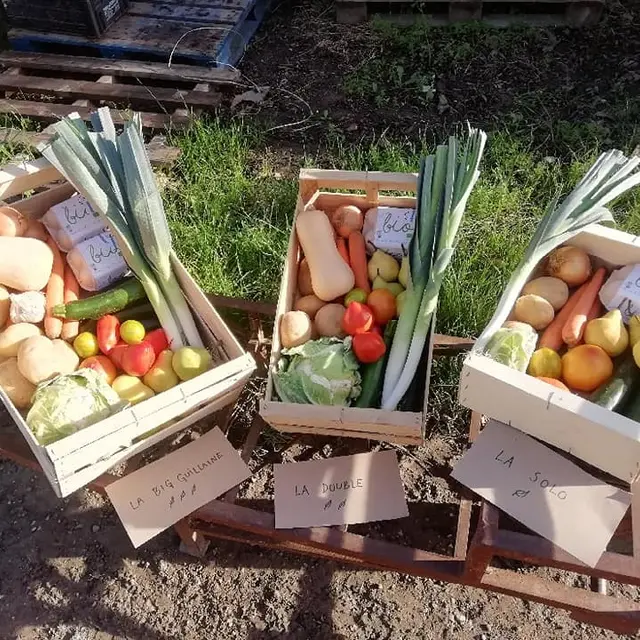 Caisse de légumes