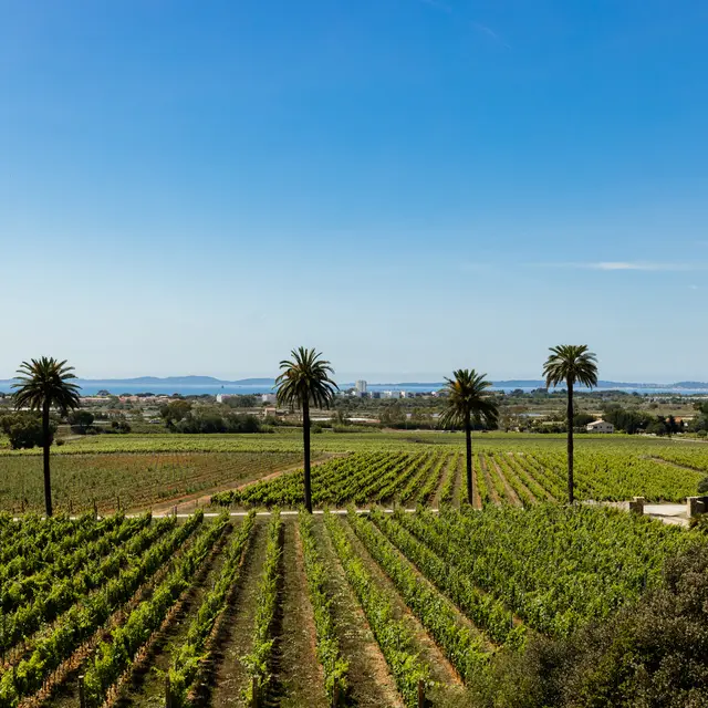 Parcours d'initiation au Château Galoupet_La Londe-les-Maures
