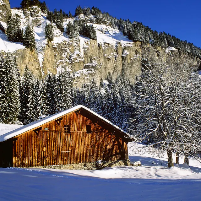 Sortie raquettes : les Fontanettes: un bijou !_Combloux