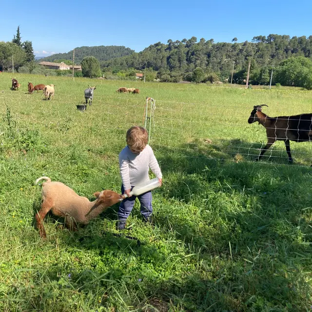 Ferme pédagogique - L'espigaou_Ménerbes