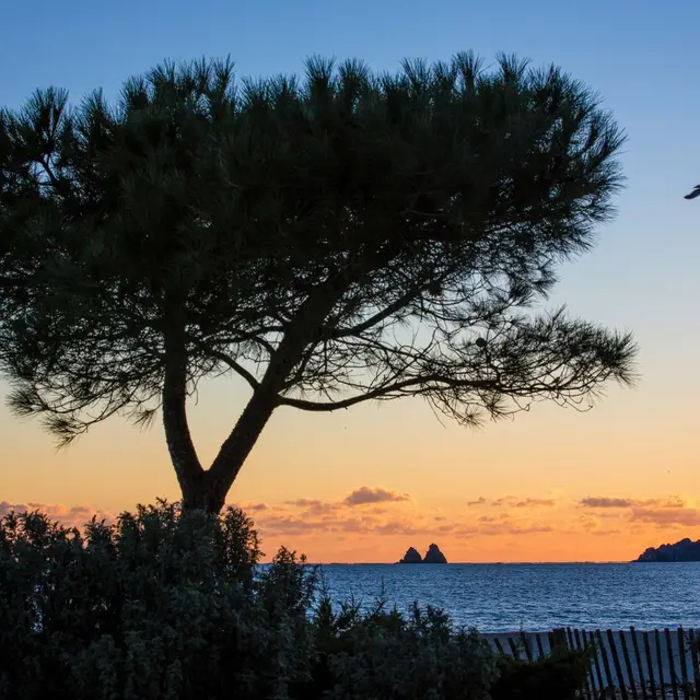 Parc Fernand Braudel