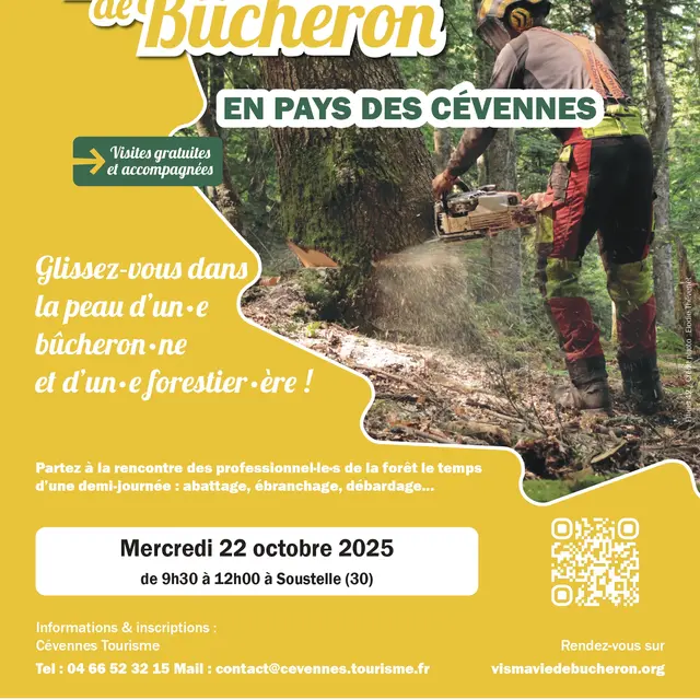 Vis ma vie de Bûcheron_Soustelle