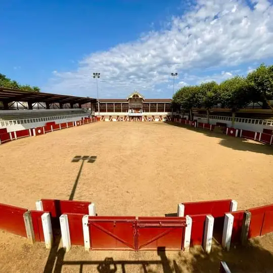 Visites des Arènes de Cazaubon  - Journées européennes du Patrimoine_Cazaubon