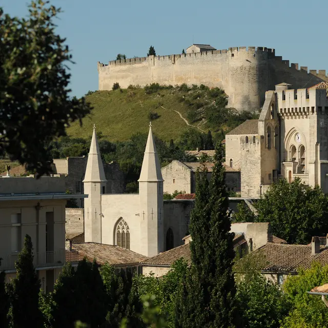 Visite commentée : des chapelles à la collégiale_Villeneuve-lez-Avignon