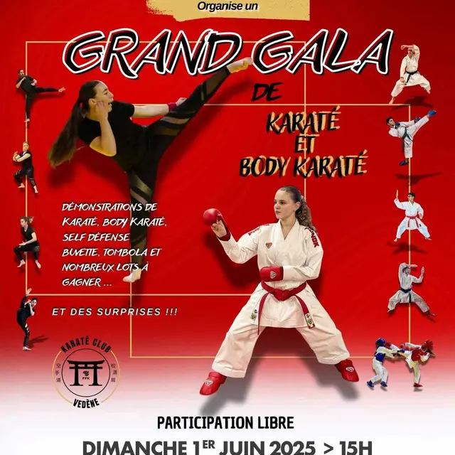 Vedène karaté club – Grand Gala_Vedène