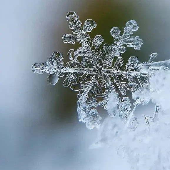 Atelier d'expériences Le p'tit labo de la neige_Passy