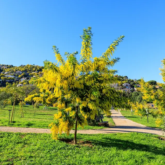 Parc Emmanuelle de Marande_Mandelieu-La Napoule
