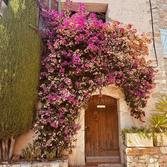 Hilios Tours : Escapade provençale_Bandol