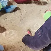 Atelier - Découverte du monde des dinosaures_Sorgues