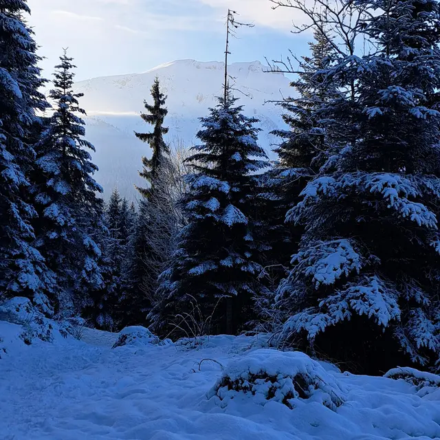 Boucle des Montavus depuis Cordon - sentier raquettes_Cordon