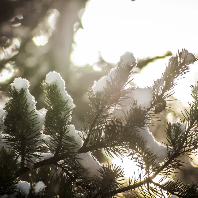 Messe et veillée de Noël_Auron