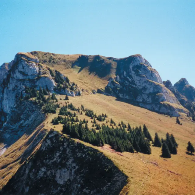 Le Mont Billat