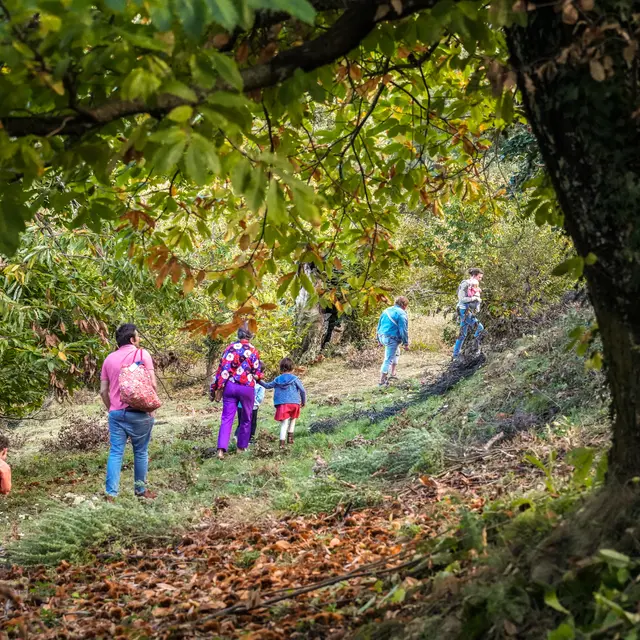 Atelier du petit castanéiculteur à la Châtaigneraie Godissard_Collobrières