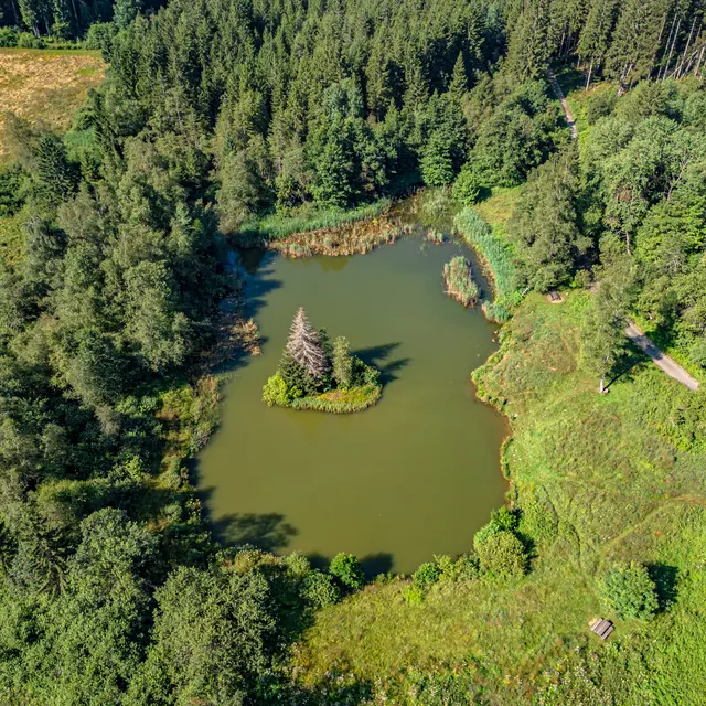 Espace Naturel Sensible du Marais des Seiglières_Saint-Martin-d'Uriage