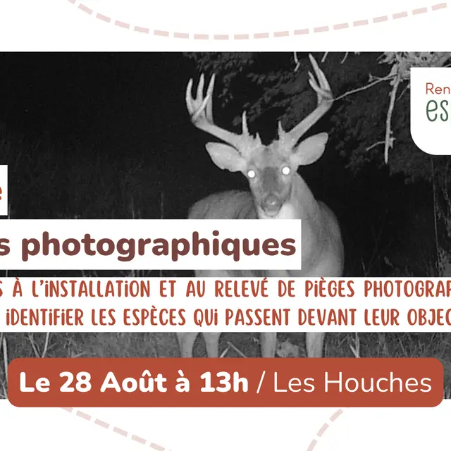 Sortie nature - Pièges photographiques_Les Houches