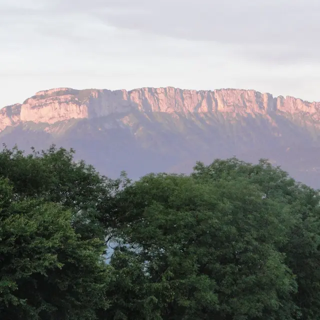 Saleve