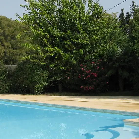 Le Murier Platane Mouries_piscine