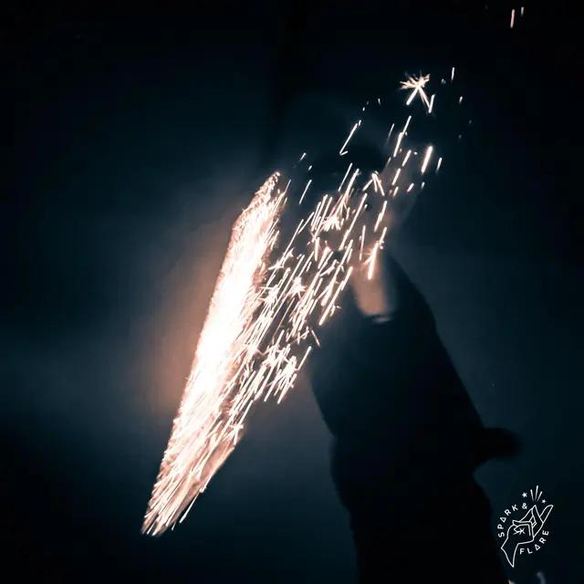 L'étincelle du coeur