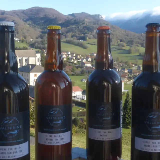 La Gorgée de Valserine à Champfromier