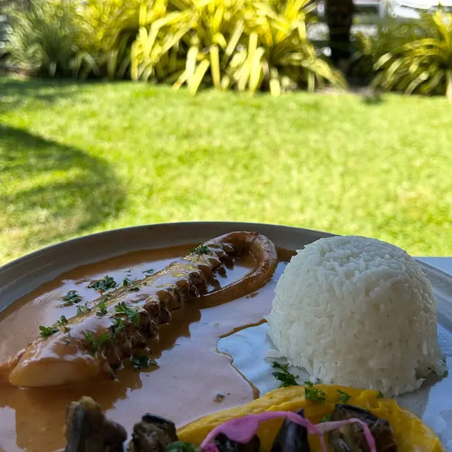 Brasserie Botaniste_Nouméa