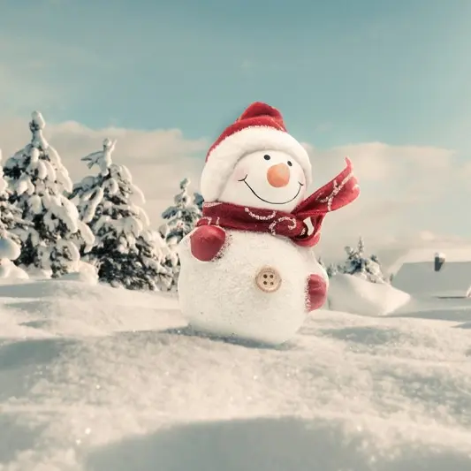 Bonhomme de neige