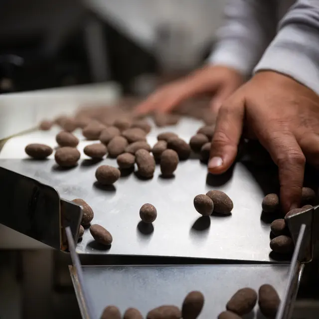 Visite d'usine Doucet_Oraison