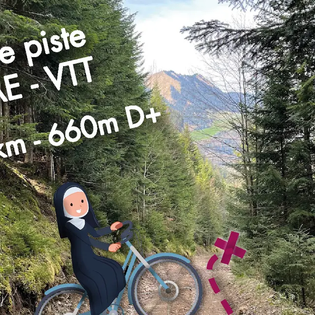 Rallye VTT en vallée d'Abondance