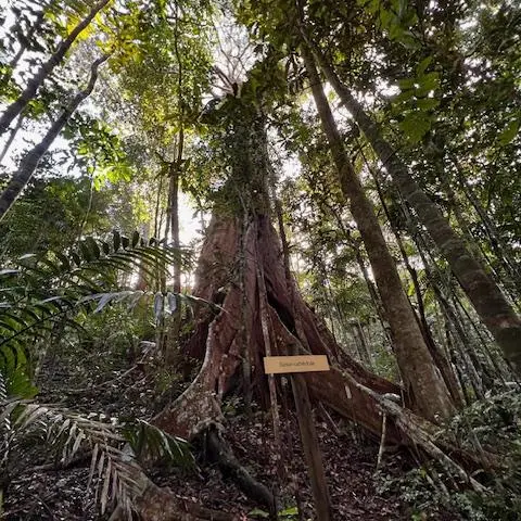 Sentier du Mé Péou_Farino