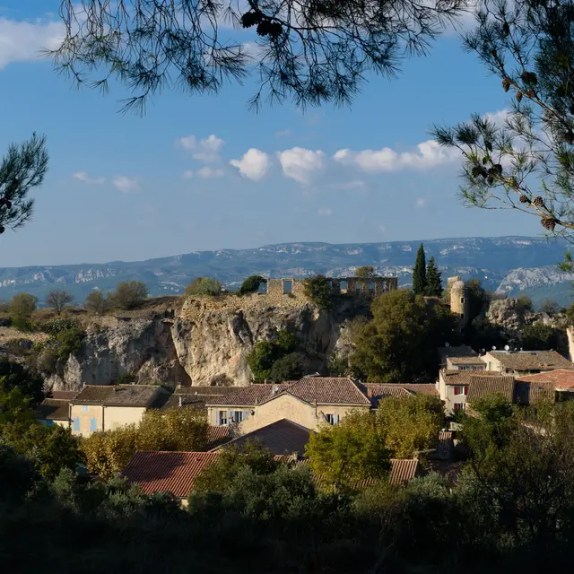 Ruines du château d'Alleins