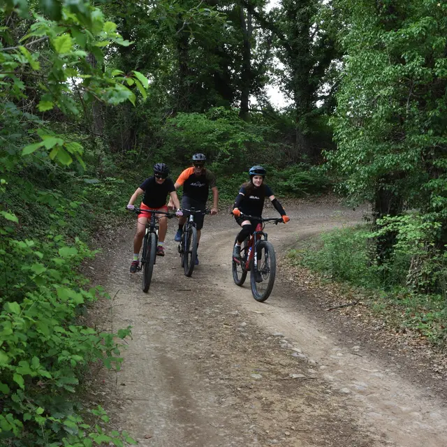 Site VTT FFC-Pays d'Oraison-Coeur de Durance-Circuit 3-Bleu-Oraison_Oraison