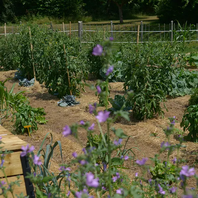 Formation jardinage au naturel à la Plantelière_Arpajon-sur-Cère