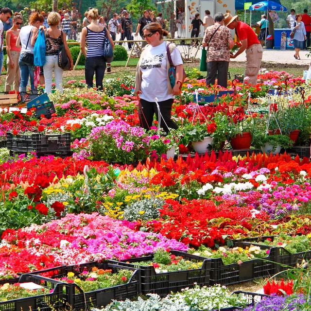Vide-greniers et marché aux fleurs