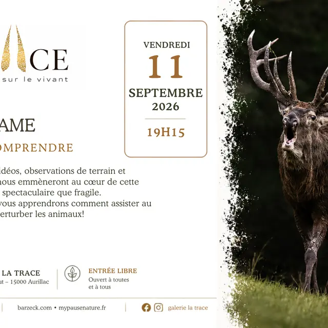 Le Brame