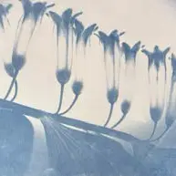 La vie en Bleu : Exposition_Cavaillon