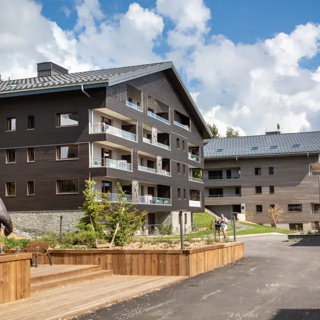 chalets-des-cimes-les-saisie