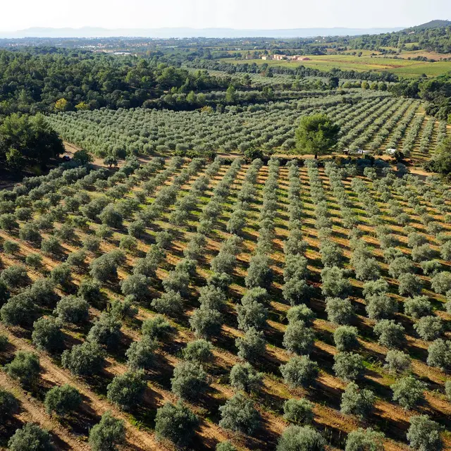 Domaine du Jasson