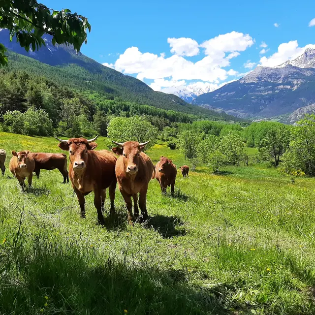 GAEC DE LA RIOLETTE_Villar-Saint-Pancrace