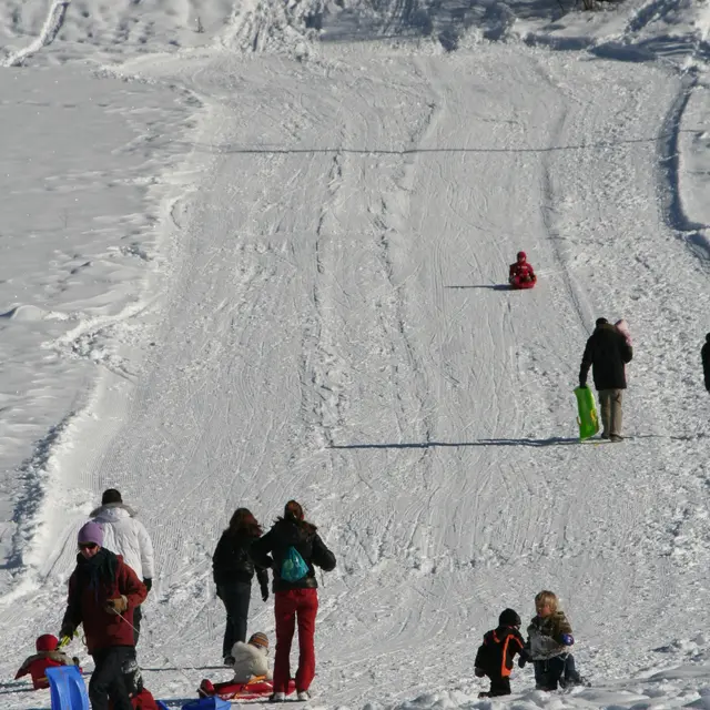 Piste de luge des Alberts