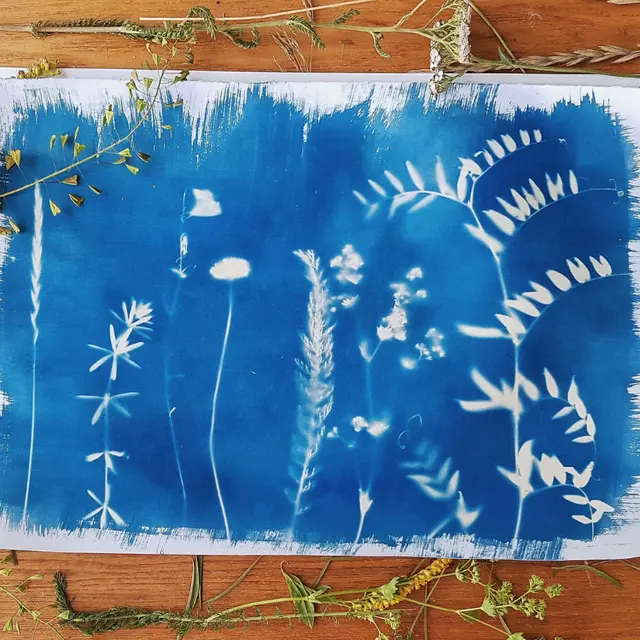 Cyanotype