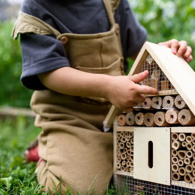 Hôtel à insectes