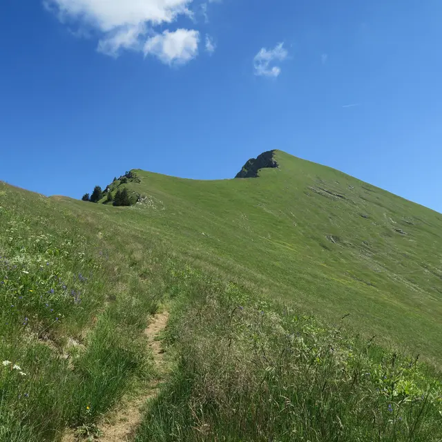 Randonnée pédestre : la Pointe de Nantaux_Saint-Jean-d'Aulps