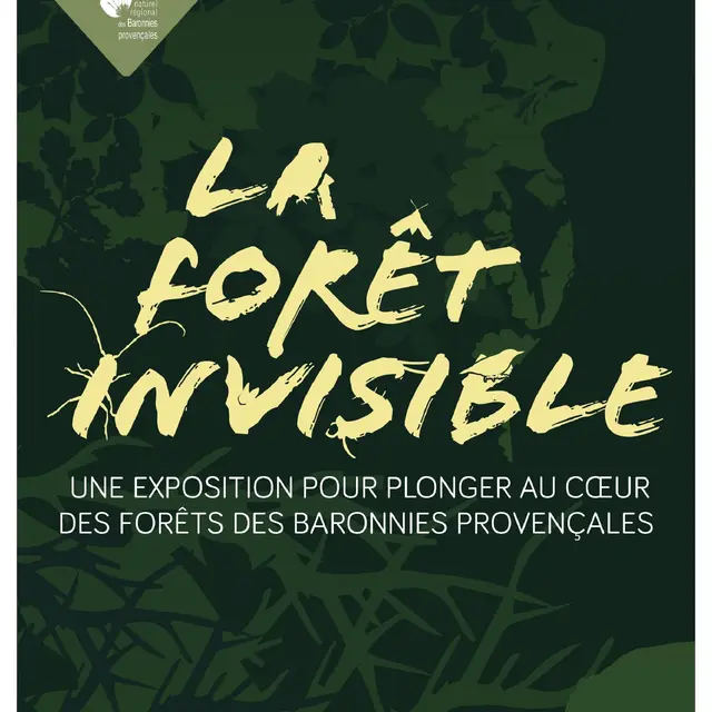 La forêt invisible_Sahune